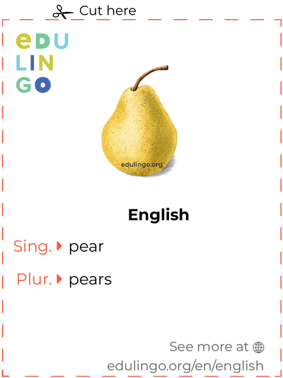 Pear in English vocabulary flashcard for printing, practicing and learning