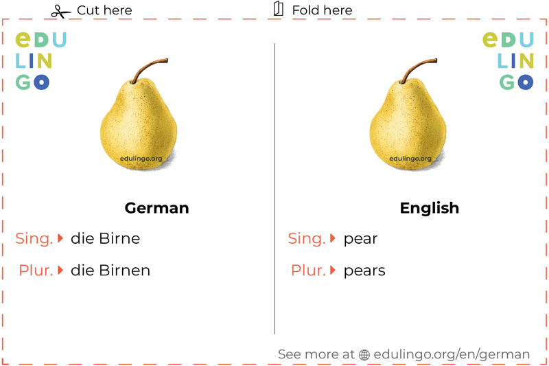 Pear in German vocabulary flashcard for printing, practicing and learning