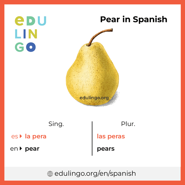 Pear in Spanish vocabulary picture with singular and plural for download and printing