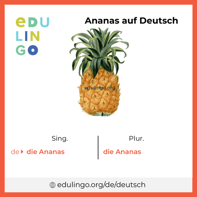 Ananas auf Deutsch Vokabelbild mit Singular und Plural zum Herunterladen und Ausdrucken