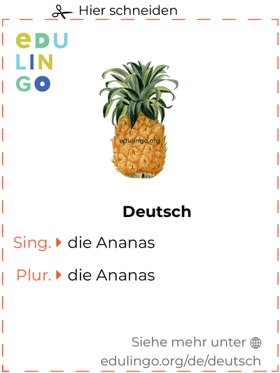 Ananas auf Deutsch Vokabelkartei zum Ausdrucken, Üben und Lernen