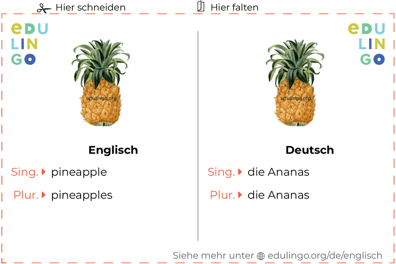Ananas auf Englisch Vokabelkartei zum Ausdrucken, Üben und Lernen