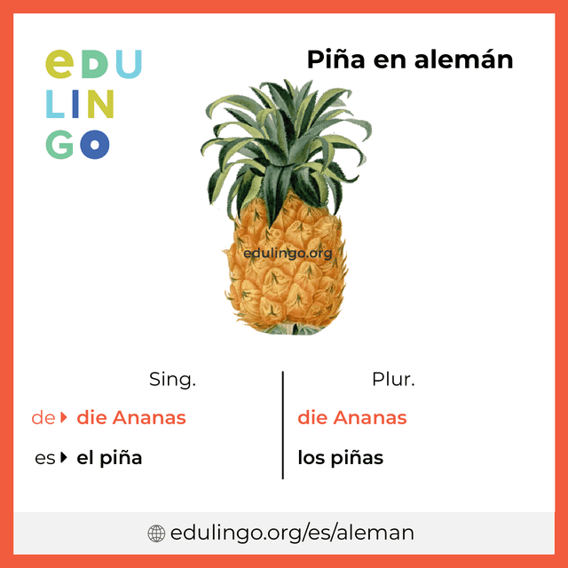 Imagen de vocabulario Piña en alemán con singular y plural para descargar e imprimir