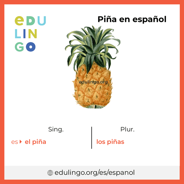 Imagen de vocabulario Piña en español con singular y plural para descargar e imprimir