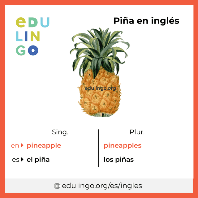 Imagen de vocabulario Piña en inglés con singular y plural para descargar e imprimir