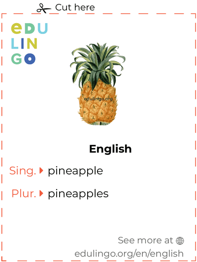 Pineapple in English vocabulary flashcard for printing, practicing and learning