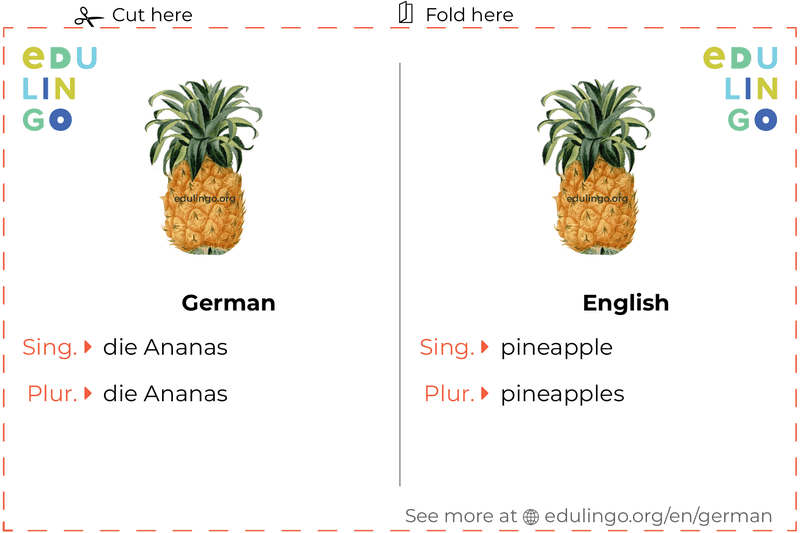 Pineapple in German vocabulary flashcard for printing, practicing and learning