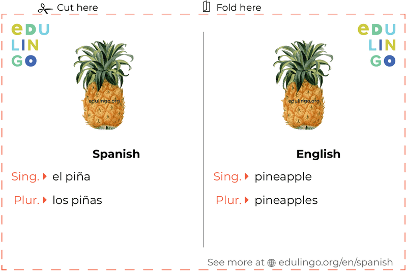 Pineapple in Spanish vocabulary flashcard for printing, practicing and learning