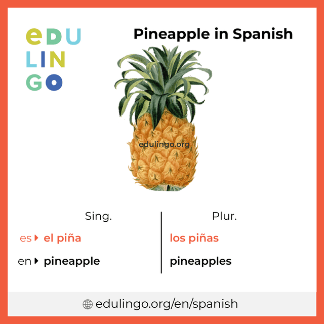 Pineapple in Spanish vocabulary picture with singular and plural for download and printing