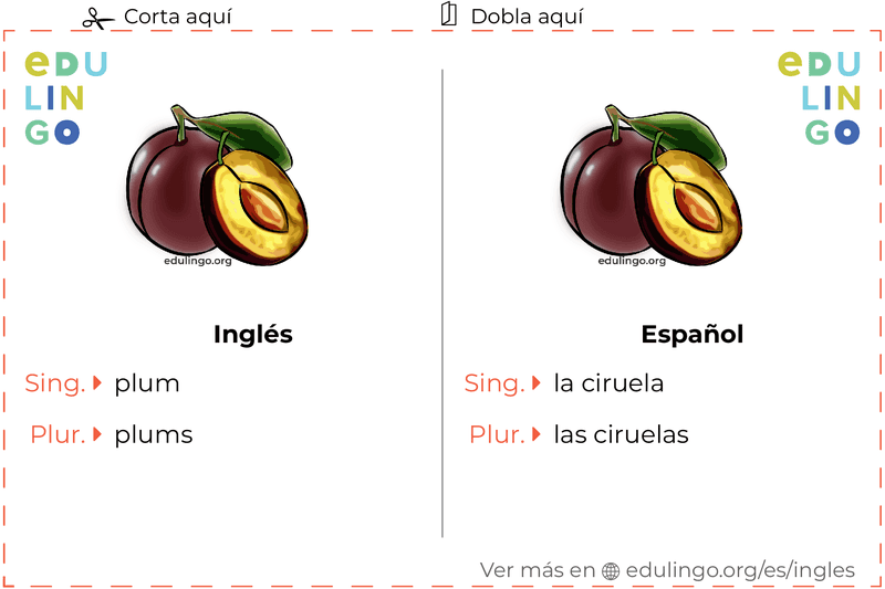 Ficha de Vocabulario Ciruela en inglés para imprimir, practicar y aprender