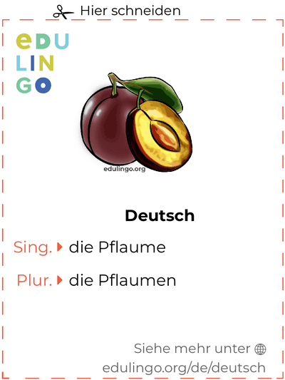 Pflaume auf Deutsch Vokabelkartei zum Ausdrucken, Üben und Lernen