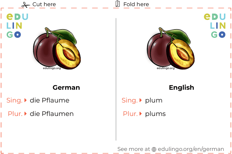 Plum in German vocabulary flashcard for printing, practicing and learning