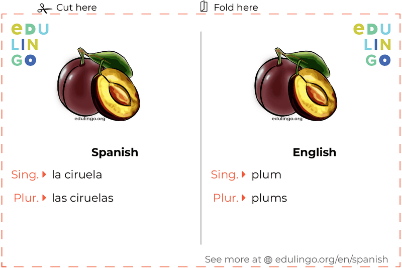 Plum in Spanish vocabulary flashcard for printing, practicing and learning