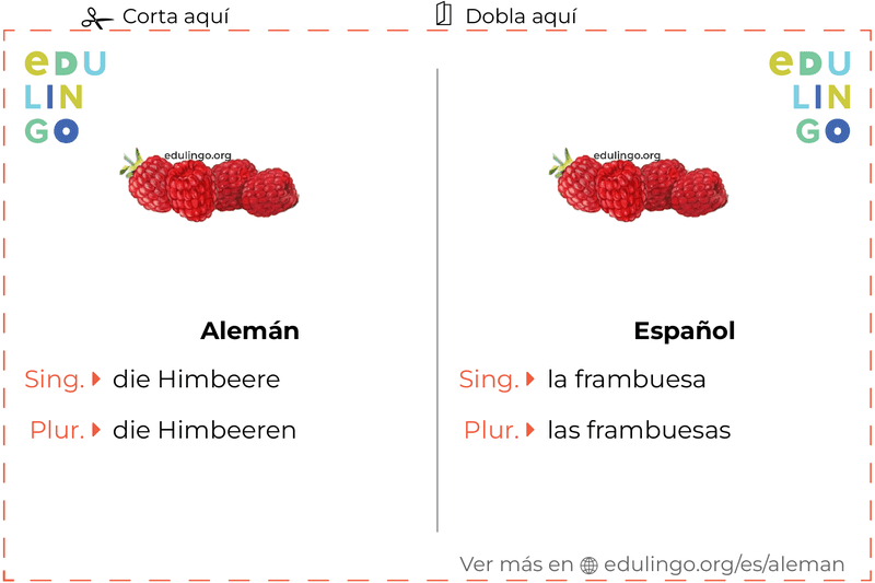 Ficha de Vocabulario Frambuesa en alemán para imprimir, practicar y aprender