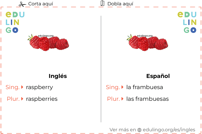 Ficha de Vocabulario Frambuesa en inglés para imprimir, practicar y aprender