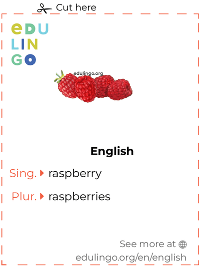 Raspberry in English vocabulary flashcard for printing, practicing and learning