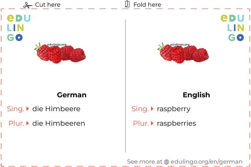 Raspberry in German vocabulary flashcard for printing, practicing and learning
