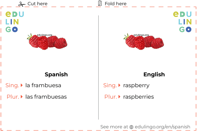Raspberry in Spanish vocabulary flashcard for printing, practicing and learning