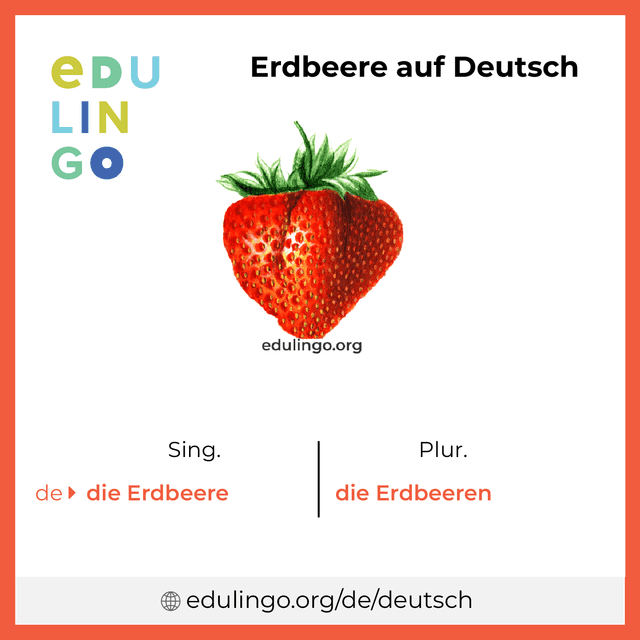 Erdbeere auf Deutsch Vokabelbild mit Singular und Plural zum Herunterladen und Ausdrucken