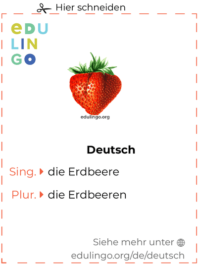 Erdbeere auf Deutsch Vokabelkartei zum Ausdrucken, Üben und Lernen
