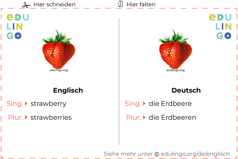 Erdbeere auf Englisch Vokabelkartei zum Ausdrucken, Üben und Lernen