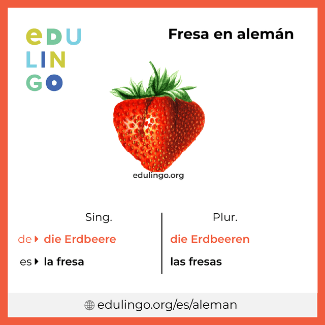 Imagen de vocabulario Fresa en alemán con singular y plural para descargar e imprimir