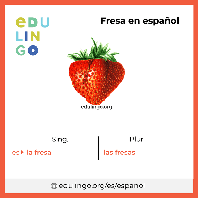 Imagen de vocabulario Fresa en español con singular y plural para descargar e imprimir