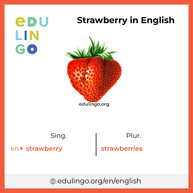 Strawberry in English vocabulary picture with singular and plural for download and printing