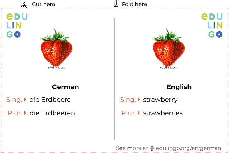 Strawberry in German vocabulary flashcard for printing, practicing and learning