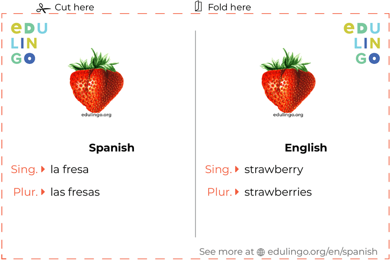 Strawberry in Spanish vocabulary flashcard for printing, practicing and learning