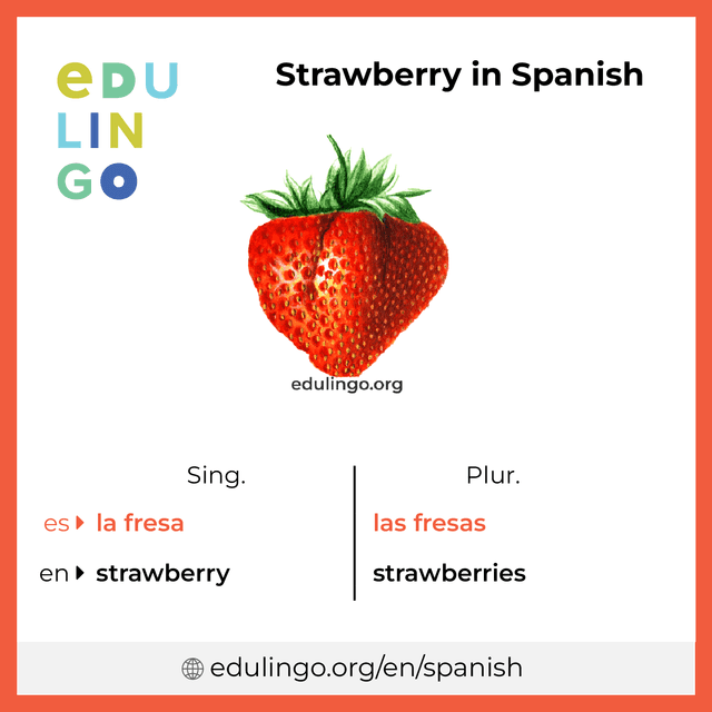 Strawberry in Spanish vocabulary picture with singular and plural for download and printing