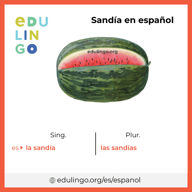 Imagen de vocabulario Sandía en español con singular y plural para descargar e imprimir