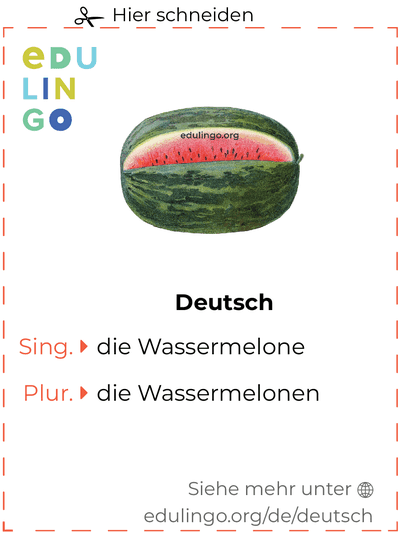 Wassermelone auf Deutsch Vokabelkartei zum Ausdrucken, Üben und Lernen