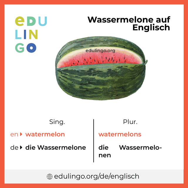 Wassermelone auf Englisch Vokabelbild mit Singular und Plural zum Herunterladen und Ausdrucken