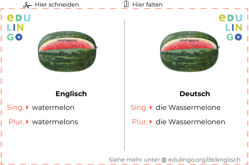 Wassermelone auf Englisch Vokabelkartei zum Ausdrucken, Üben und Lernen