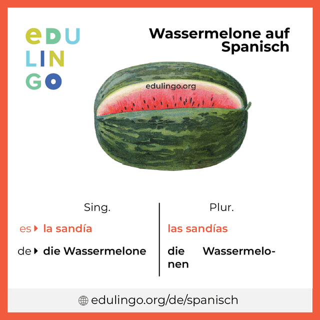 Wassermelone auf Spanisch Vokabelbild mit Singular und Plural zum Herunterladen und Ausdrucken