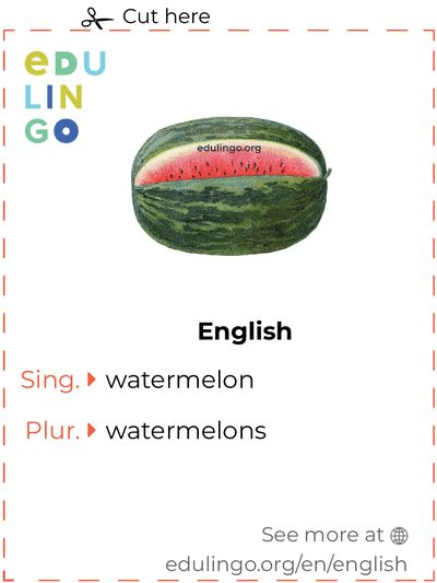 Watermelon in English vocabulary flashcard for printing, practicing and learning
