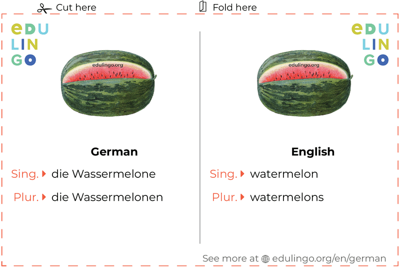 Watermelon in German vocabulary flashcard for printing, practicing and learning