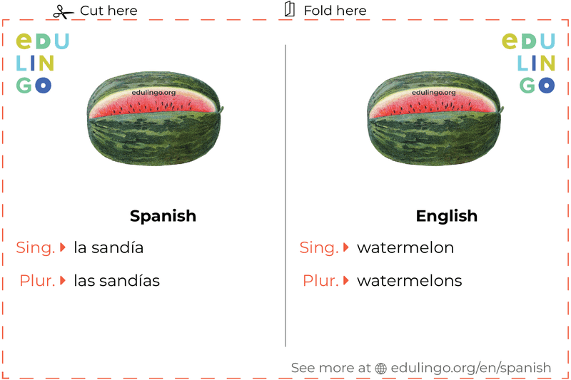 Watermelon in Spanish vocabulary flashcard for printing, practicing and learning