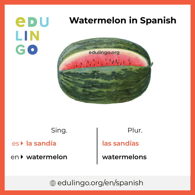 Watermelon in Spanish vocabulary picture with singular and plural for download and printing