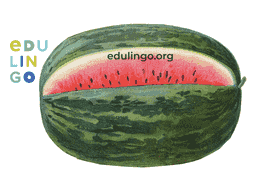 Thumbnail: Watermelon in German