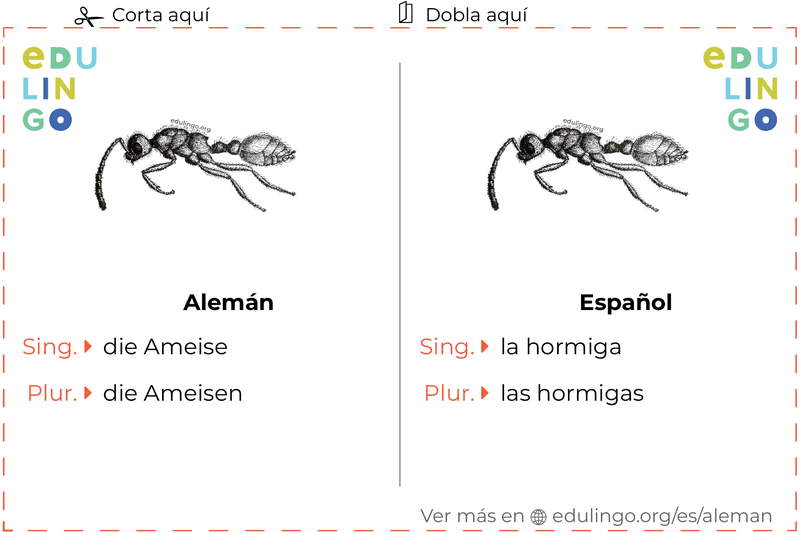 Ficha de Vocabulario Hormiga en alemán para imprimir, practicar y aprender