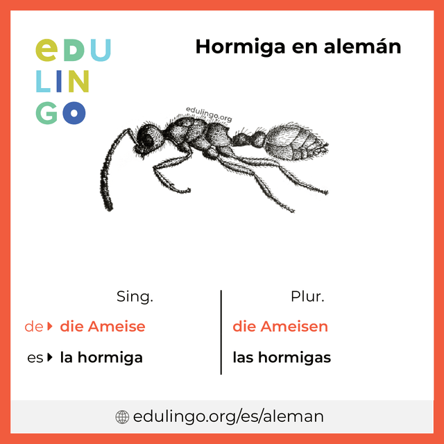 Imagen de vocabulario Hormiga en alemán con singular y plural para descargar e imprimir