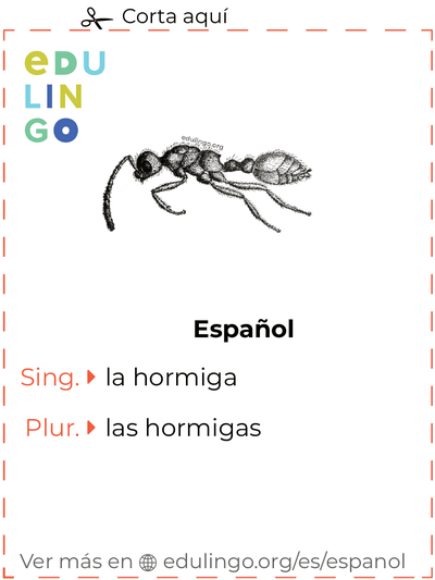 Ficha de Vocabulario Hormiga en español para imprimir, practicar y aprender