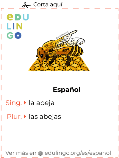 Ficha de Vocabulario Abeja en español para imprimir, practicar y aprender