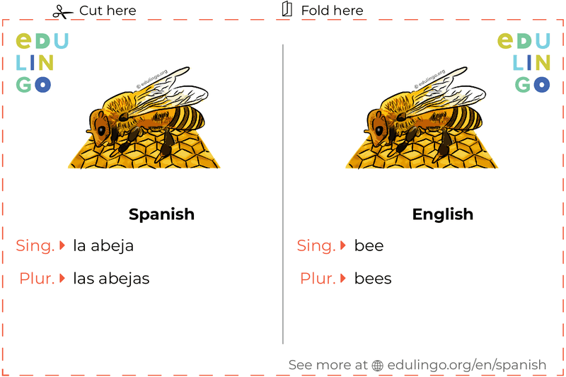 Bee in Spanish vocabulary flashcard for printing, practicing and learning