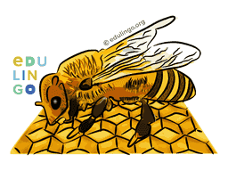 Thumbnail: Bee in Spanish