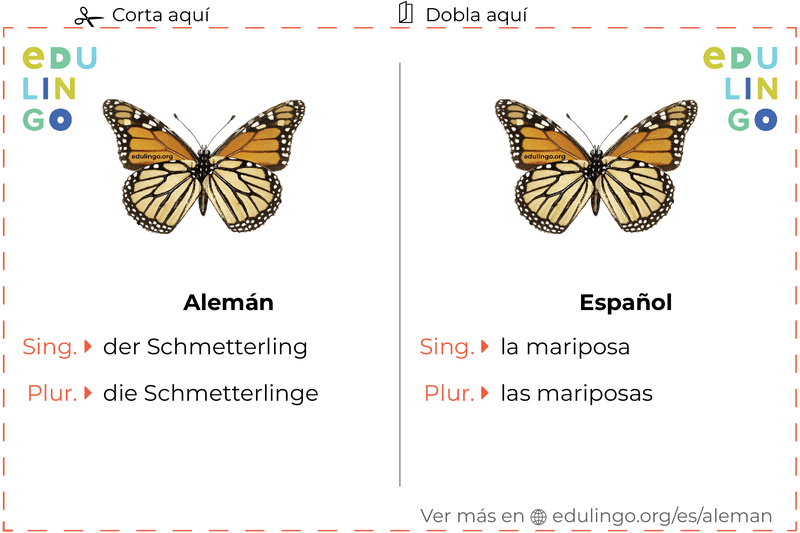 Ficha de Vocabulario Mariposa en alemán para imprimir, practicar y aprender