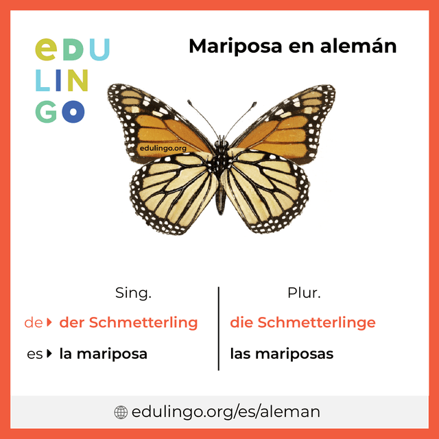Imagen de vocabulario Mariposa en alemán con singular y plural para descargar e imprimir