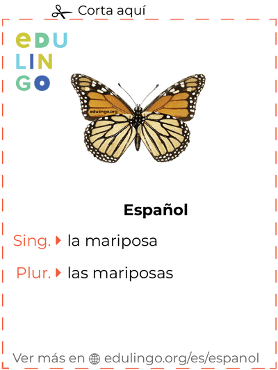 Ficha de Vocabulario Mariposa en español para imprimir, practicar y aprender
